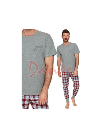 Pánské pyžamo Good Day - krátký rukáv - dlouhé kalhoty