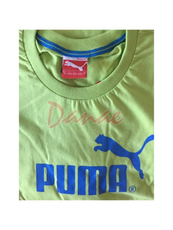 Barevné pánské tričko Puma 817025 